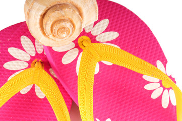 Flip flops and shell