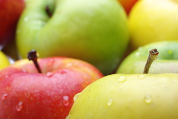 Multicolor fresh apples