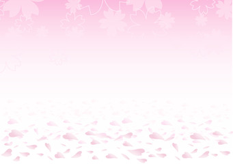Cherry blossoms