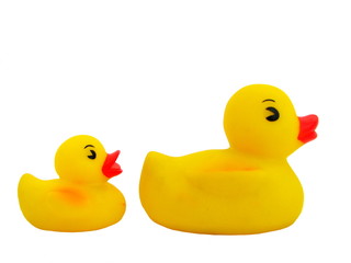 Two isolated yellow ducks