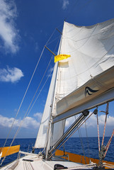 sailing - 11985082