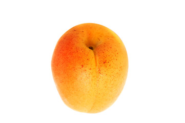 apricot isolated on white