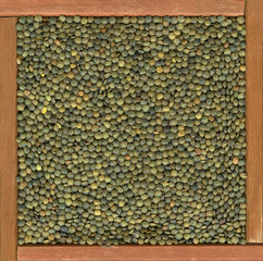 French green lentils background