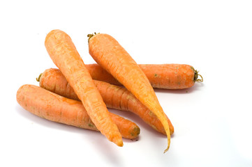 Carrot