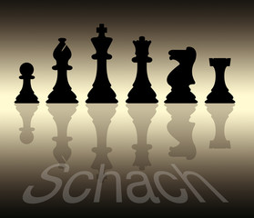 Schachfiguren, Schach