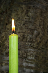 gr&uuml;ne Kerze vor Baumrinde