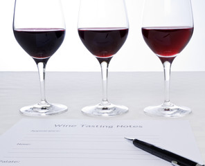 Wine Tasting