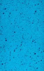 Blue sponge
