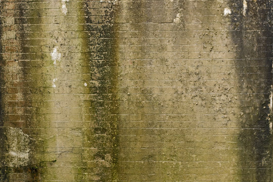 alte steinmauer
