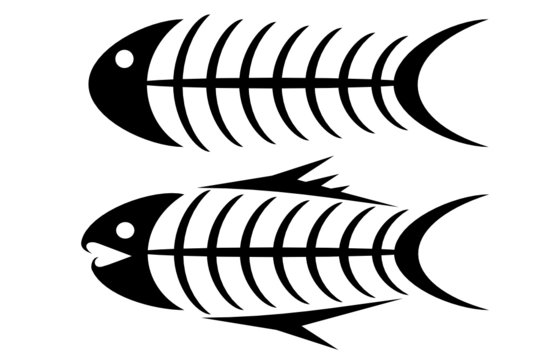 Set of two tribal fish bone tattoos