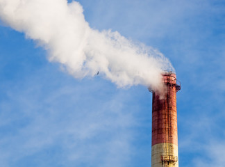 Global Pollution