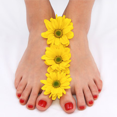 Feet with red padicure and yellow daisies