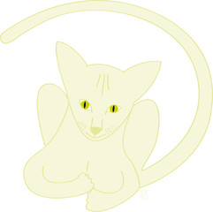 Chat oriental clanc yeux verts en sphinx