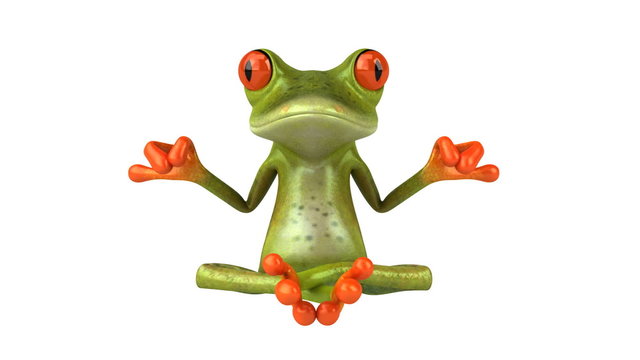 Grenouille zen
