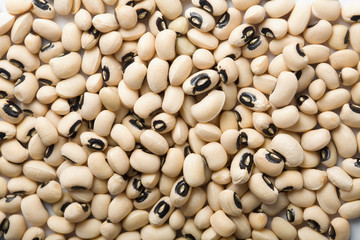 white haricot beans background
