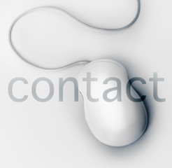 contact