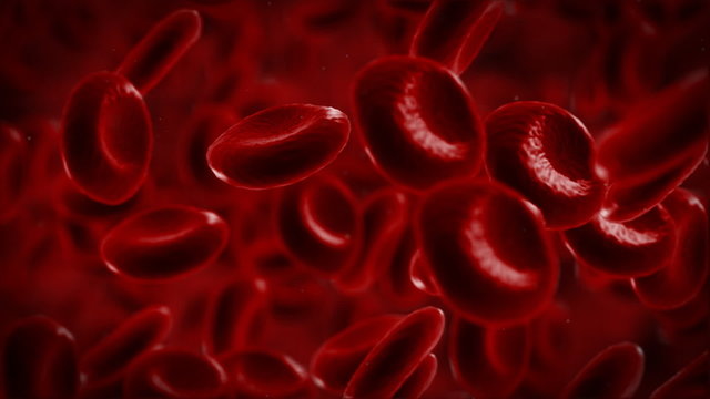 3d simulation of red blood cells flowing through a vein