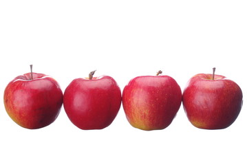 Red Apples Row on white