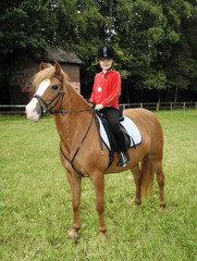 M&auml;dchen und ihr Pony