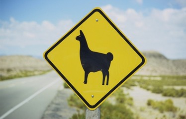 Lama Schild © Stephan Baur