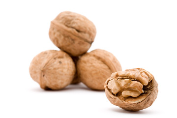 walnut