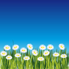 Vector background with flower
