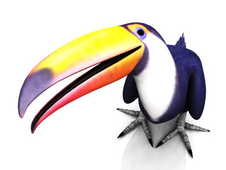 Toucan bird © Sarah Holmlund
