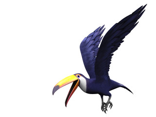 Flying toucan bird - obrazy, fototapety, plakaty