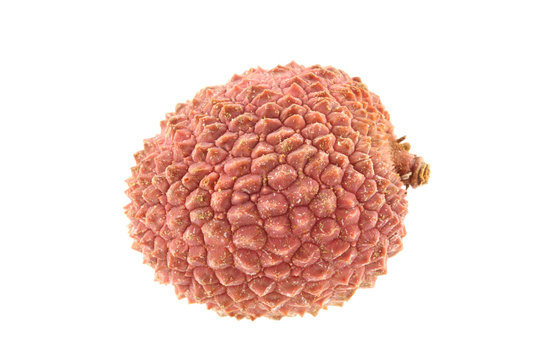 Lychee isolated