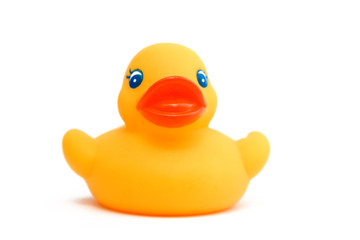 Yellow duck