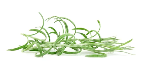 Crédence de cuisine en verre imprimé Herbes Curry plant Helichrysum italicum