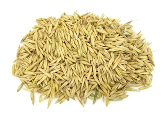 Gordijnen Oats oat grains © Uros Petrovic