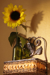 Shelf with sunflower