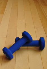 Blue Weights on Hardwood Floor of Fitness Center