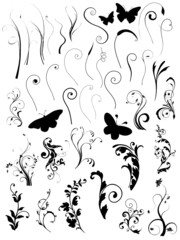set of floral nature vector