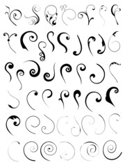 set of floral vector