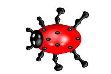 Ladybird