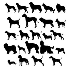 razze cani © Piumadaquila.it