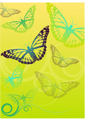 Fototapeta na wymiar Schmetterling Illustration