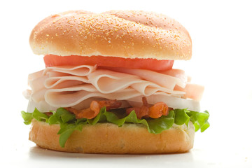 Turkey on Bun