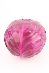 Fototapeta premium cabbage