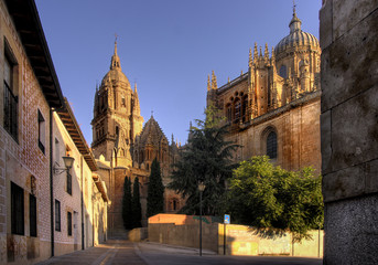 Catedral de Salamanca - obrazy, fototapety, plakaty