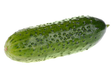 .fresh cucumber isolated on white