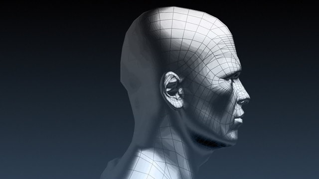 Human head in 3D