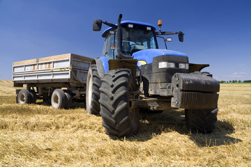 Fototapeta premium Agriculture - Tractor