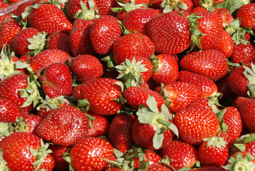 Strawberry's background