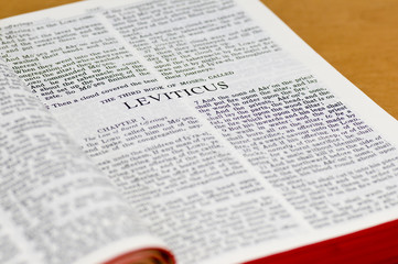 Bible Page - Leviticus