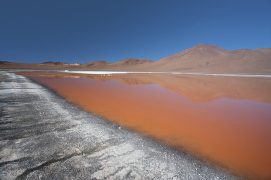 Laguna Colorado Bolivia