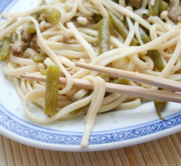 udon nudeln