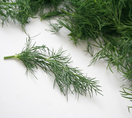 dill